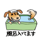 きずだらけの犬 シンバ2（個別スタンプ：38）