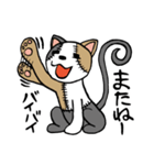 つぎはぎ猫 ミケさん2（個別スタンプ：3）