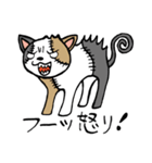 つぎはぎ猫 ミケさん2（個別スタンプ：9）