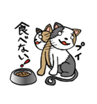 つぎはぎ猫 ミケさん2（個別スタンプ：16）