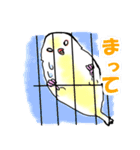 もりもり文鳥（個別スタンプ：21）