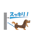 俺様・ルイ様・お犬様（個別スタンプ：11）