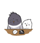 Pigeon Love love (ENG)（個別スタンプ：16）