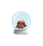 Poyu Bird In Winterland（個別スタンプ：9）