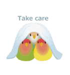 Love Birds Winter Version（個別スタンプ：34）