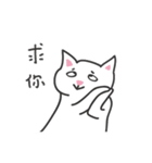 white cat and chicken（個別スタンプ：6）