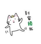 white cat and chicken（個別スタンプ：9）