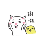 white cat and chicken（個別スタンプ：10）