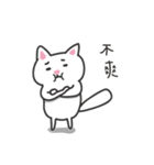 white cat and chicken（個別スタンプ：12）