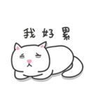 white cat and chicken（個別スタンプ：13）