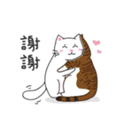 white cat and chicken（個別スタンプ：23）