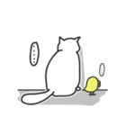 white cat and chicken（個別スタンプ：25）