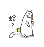 white cat and chicken（個別スタンプ：26）