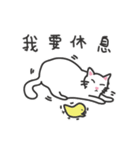 white cat and chicken（個別スタンプ：27）