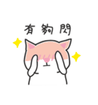 white cat and chicken（個別スタンプ：40）