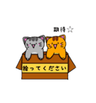 ぬこぬ（個別スタンプ：34）