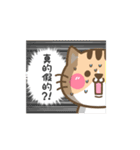 かわいい猫のデビュー（個別スタンプ：15）