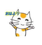 白ねこのタマ（個別スタンプ：1）