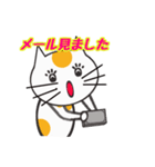 白ねこのタマ（個別スタンプ：5）