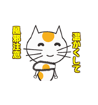 白ねこのタマ（個別スタンプ：8）