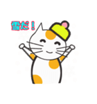 白ねこのタマ（個別スタンプ：11）