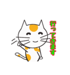 白ねこのタマ（個別スタンプ：18）