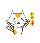 白ねこのタマ（個別スタンプ：24）