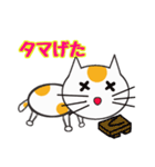 白ねこのタマ（個別スタンプ：30）