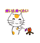 白ねこのタマ（個別スタンプ：31）