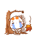 Orange Orange Cat（個別スタンプ：13）