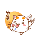 Orange Orange Cat（個別スタンプ：24）