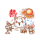 Orange Orange Cat（個別スタンプ：36）