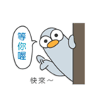 the thin pigeon and fat chicks（個別スタンプ：19）