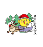 クリスマス・年末・年始【ひよこ＆カモ編】（個別スタンプ：1）