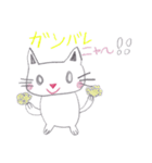 ねこマル（個別スタンプ：17）