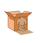 ワンBox（個別スタンプ：35）