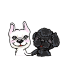 French bulldog GaiGai（個別スタンプ：1）