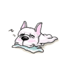 French bulldog GaiGai（個別スタンプ：9）