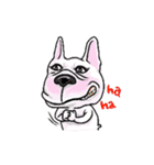 French bulldog GaiGai（個別スタンプ：36）