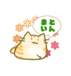 もち○ねこ（個別スタンプ：1）