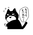 こわもてねこ（個別スタンプ：19）