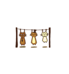 Triple cat（個別スタンプ：32）