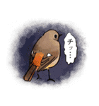 日本の野鳥～冬鳥～（個別スタンプ：11）