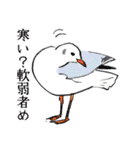 日本の野鳥～冬鳥～（個別スタンプ：13）