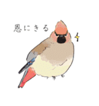 日本の野鳥～冬鳥～（個別スタンプ：18）