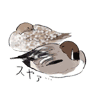 日本の野鳥～冬鳥～（個別スタンプ：33）