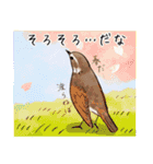 日本の野鳥～冬鳥～（個別スタンプ：36）