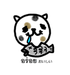 かわいい猫 タイ語＆日本語（個別スタンプ：12）