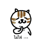 かわいい猫 タイ語＆日本語（個別スタンプ：31）
