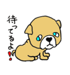 子犬のブー（個別スタンプ：8）